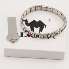 Las Vegas Raiders Italian Charm Bracelet – Fan Gift for  Birthday,Holiday & Valentine’s Day Gift